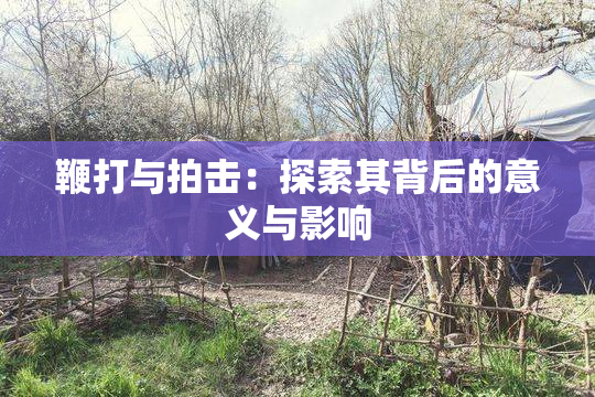 鞭打与拍击：探索其背后的意义与影响