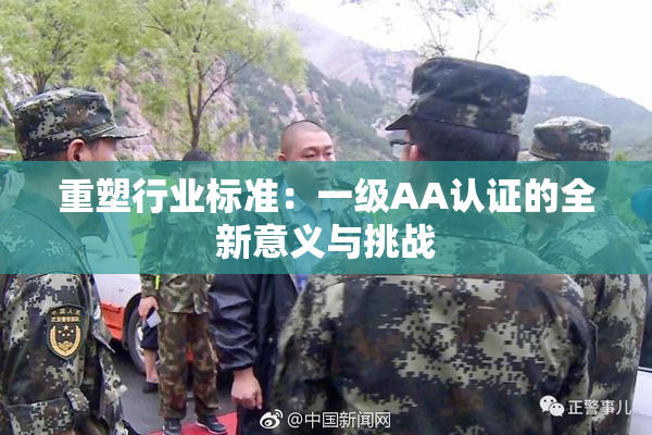 重塑行业标准：一级AA认证的全新意义与挑战