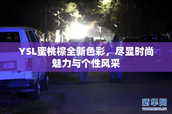YSL蜜桃棕全新色彩，尽显时尚魅力与个性风采