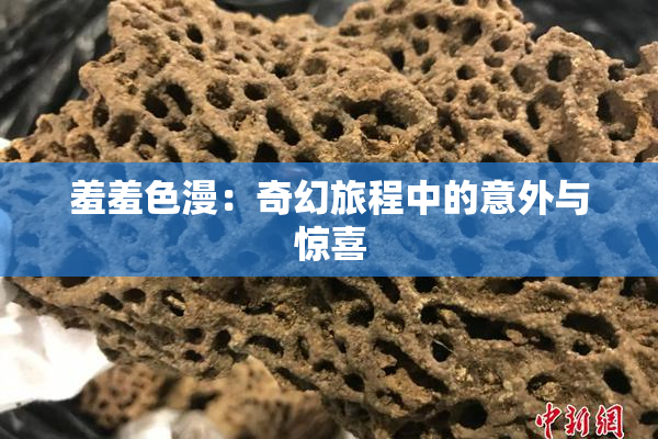 羞羞色漫：奇幻旅程中的意外与惊喜