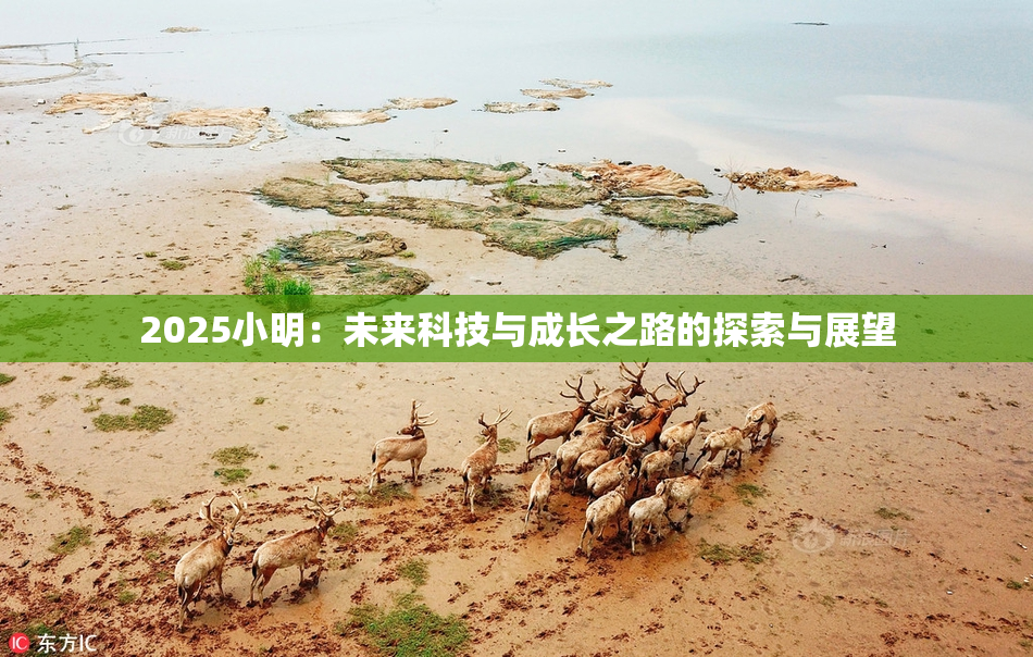 2025小明：未来科技与成长之路的探索与展望