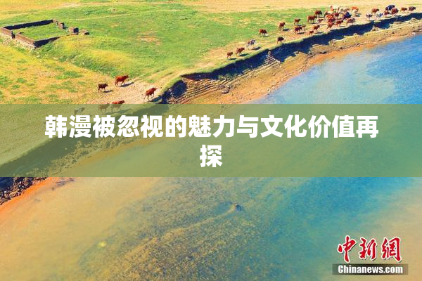 韩漫被忽视的魅力与文化价值再探
