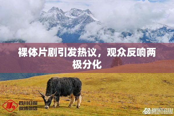 裸体片剧引发热议，观众反响两极分化