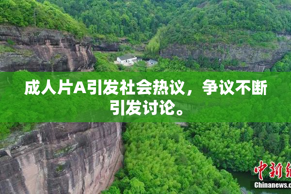 成人片A引发社会热议，争议不断引发讨论。