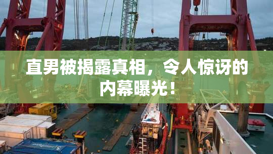 直男被揭露真相，令人惊讶的内幕曝光！