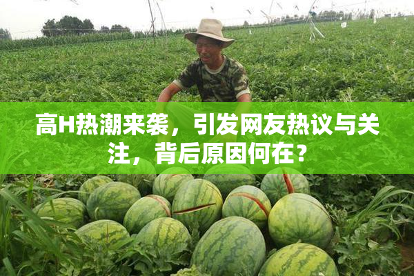 高H热潮来袭，引发网友热议与关注，背后原因何在？