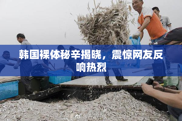 韩国裸体秘辛揭晓，震惊网友反响热烈