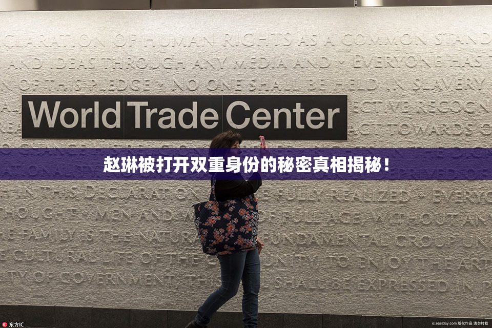 赵琳被打开双重身份的秘密真相揭秘！