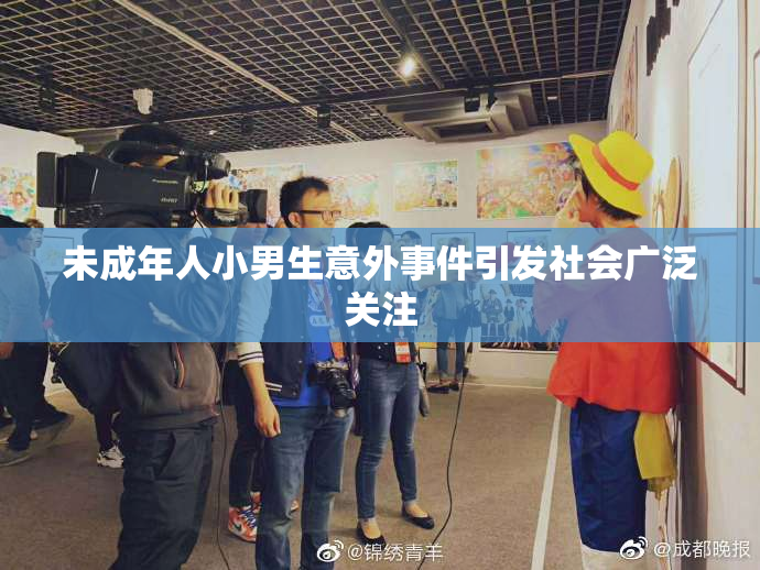 未成年人小男生意外事件引发社会广泛关注