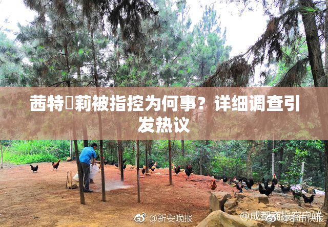 茜特菈莉被指控为何事？详细调查引发热议
