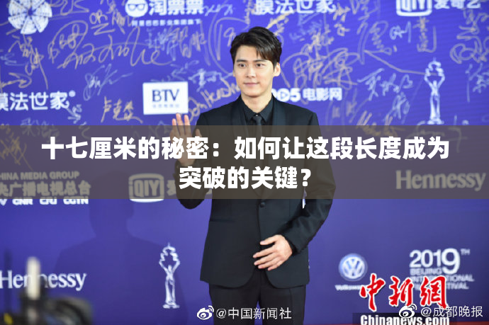 十七厘米的秘密：如何让这段长度成为突破的关键？