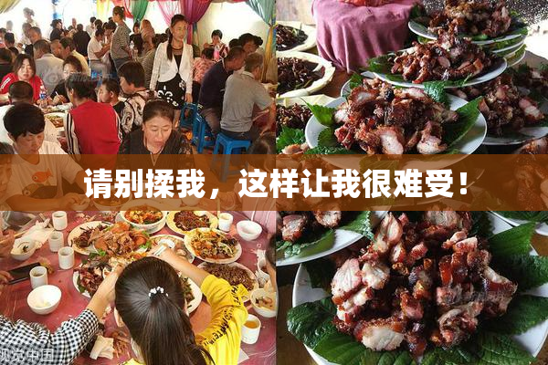 请别揉我，这样让我很难受！