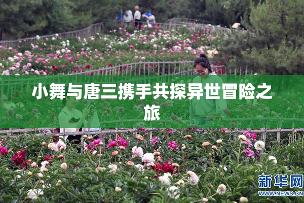 小舞与唐三携手共探异世冒险之旅