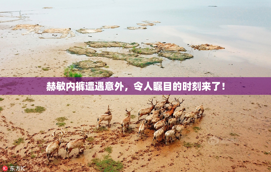 赫敏内裤遭遇意外，令人瞩目的时刻来了！
