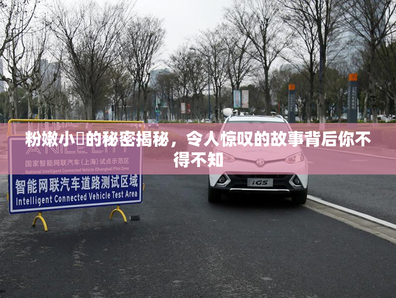 粉嫩小泬的秘密揭秘，令人惊叹的故事背后你不得不知