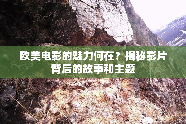 欧美电影的魅力何在？揭秘影片背后的故事和主题