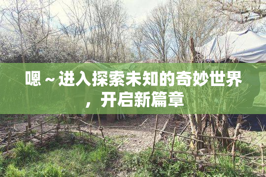 嗯～进入探索未知的奇妙世界，开启新篇章