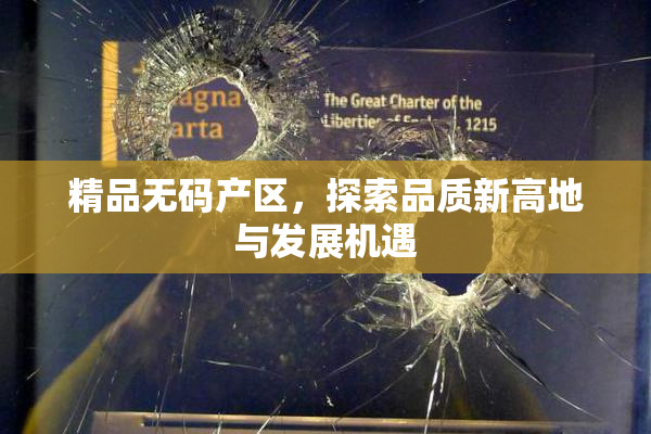 精品无码产区，探索品质新高地与发展机遇