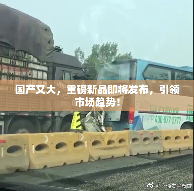 国产又大，重磅新品即将发布，引领市场趋势！