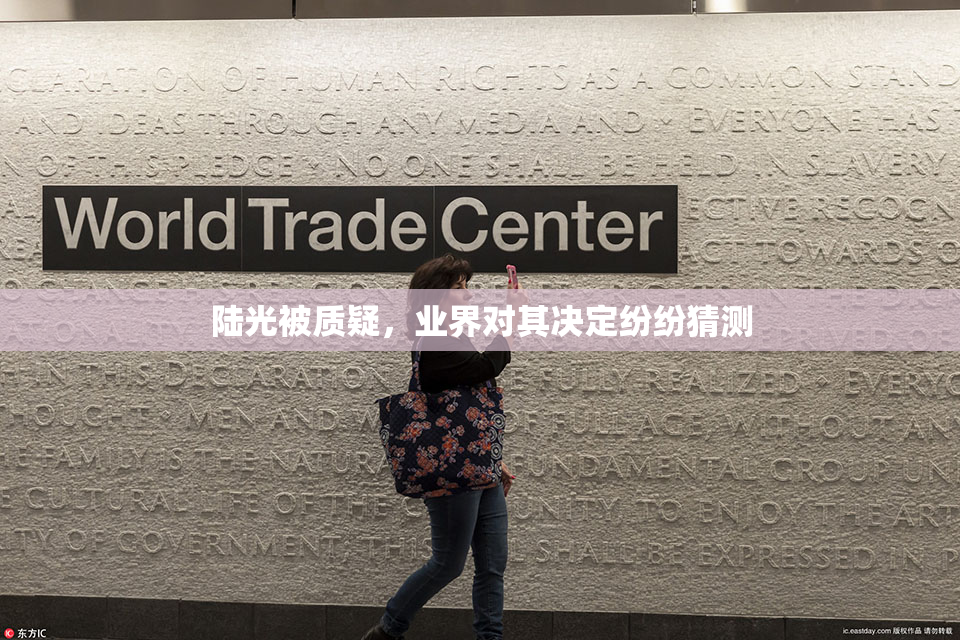 陆光被质疑，业界对其决定纷纷猜测
