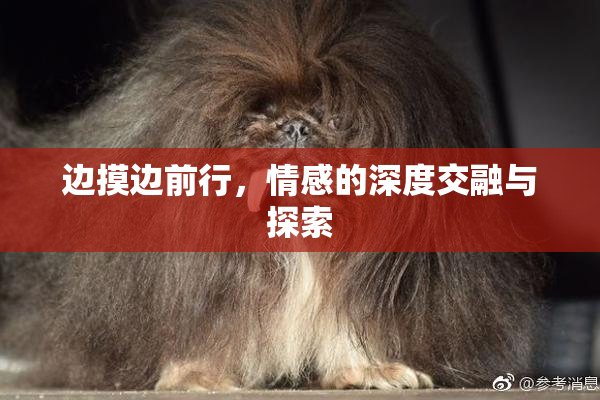 边摸边前行，情感的深度交融与探索