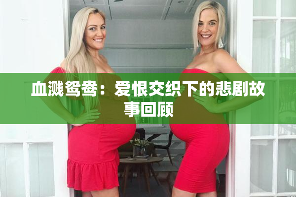 血溅鸳鸯：爱恨交织下的悲剧故事回顾