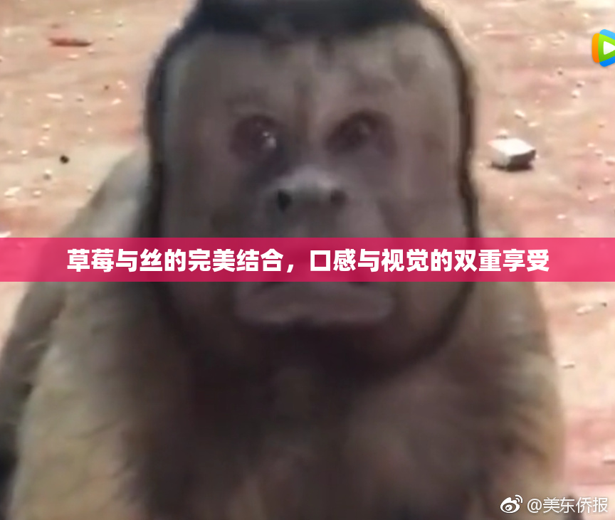 草莓与丝的完美结合，口感与视觉的双重享受