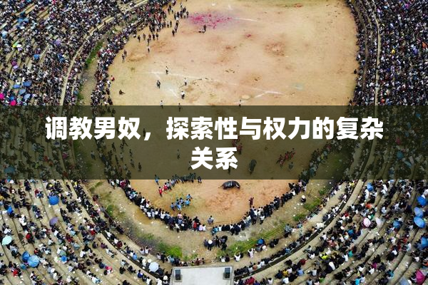 调教男奴，探索性与权力的复杂关系