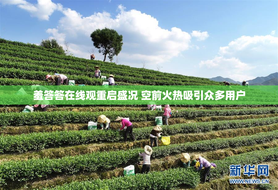 羞答答在线观重启盛况 空前火热吸引众多用户