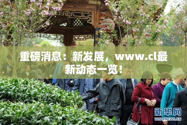 重磅消息：新发展，www.cl最新动态一览！