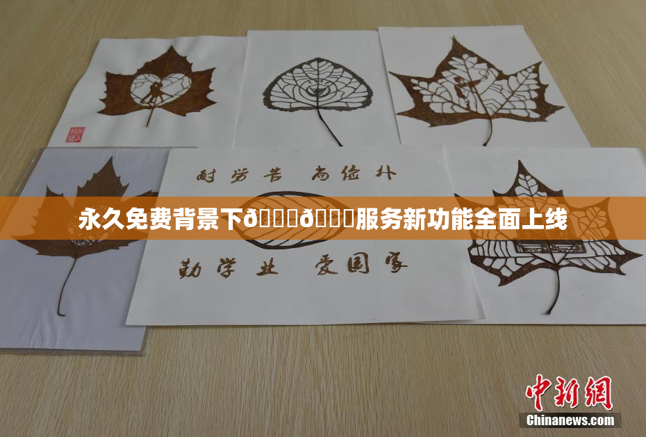 永久免费背景下🔞🔞服务新功能全面上线