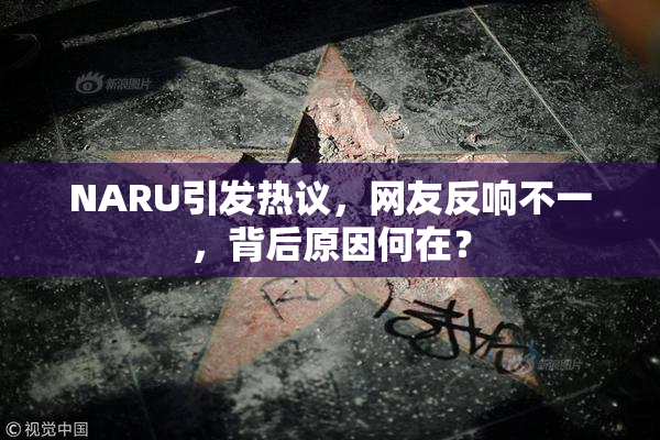 NARU引发热议，网友反响不一，背后原因何在？