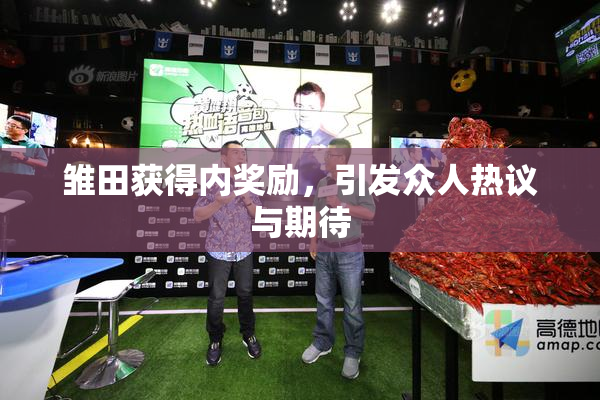 雏田获得内奖励，引发众人热议与期待