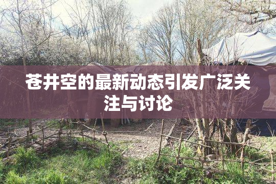 苍井空的最新动态引发广泛关注与讨论