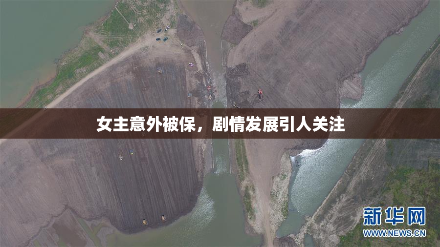 女主意外被保，剧情发展引人关注