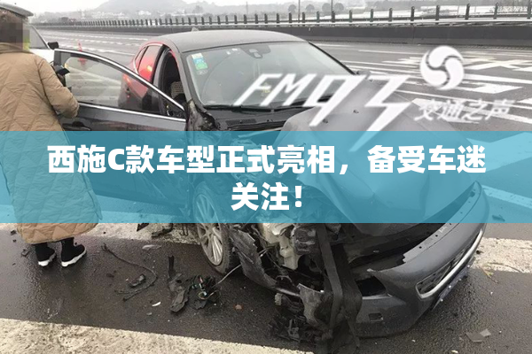 西施C款车型正式亮相，备受车迷关注！