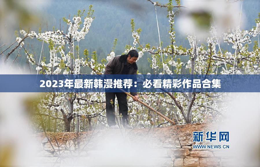 2023年最新韩漫推荐：必看精彩作品合集