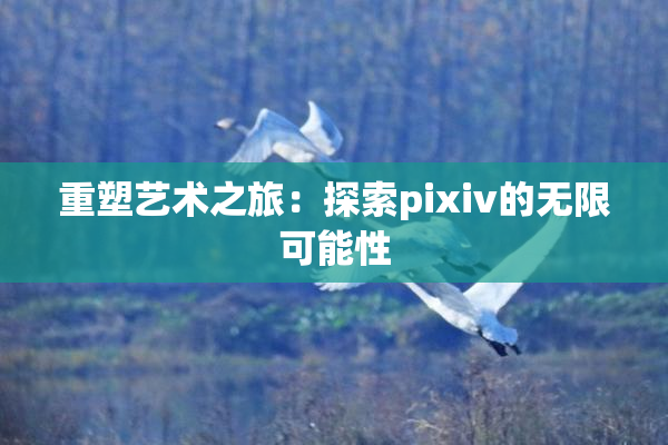 重塑艺术之旅：探索pixiv的无限可能性