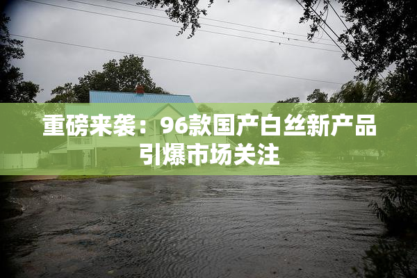 重磅来袭：96款国产白丝新产品引爆市场关注