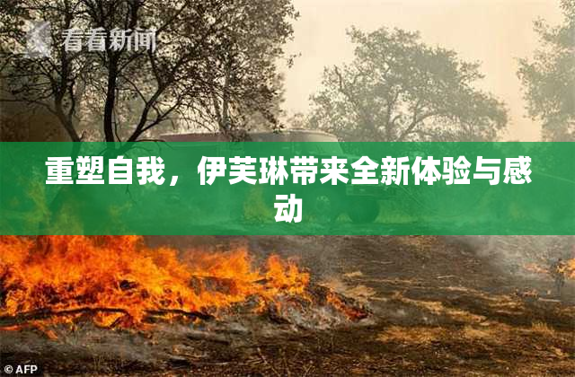 重塑自我，伊芙琳带来全新体验与感动