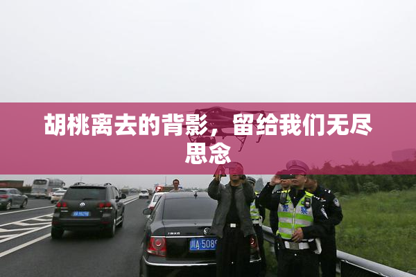 胡桃离去的背影，留给我们无尽思念