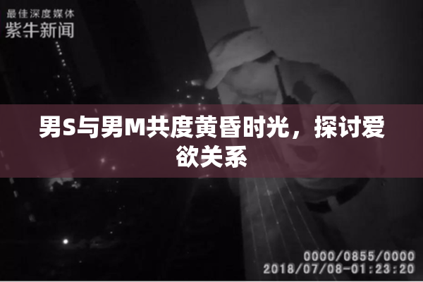 男S与男M共度黄昏时光，探讨爱欲关系